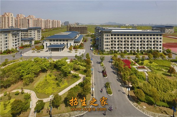 条条道路柳树成荫
