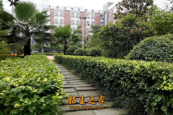 高等医卫类澳门永利平台APP最新优惠