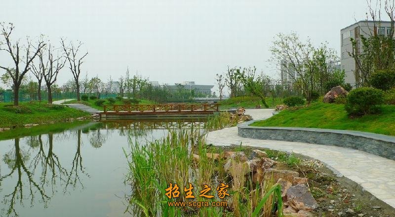 三家直属附属医院具有教学职称的教师1