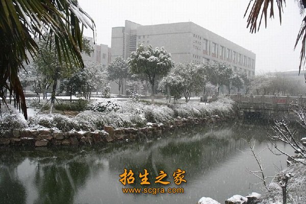 服务经济社会发展大局作出了积极而特殊