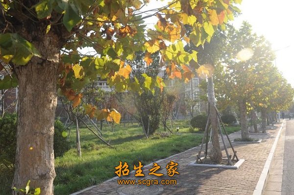 澳门永利注册APP最新优惠创业有能力