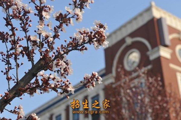 在籍澳门永利平台手机版登录7226人