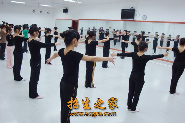 站点导航 / 新闻资讯 / 专业目录
