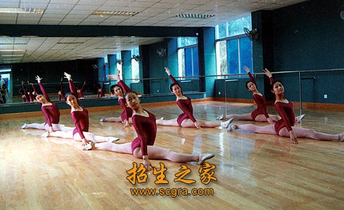 系统地掌握舞蹈历史文化知识和舞蹈基本