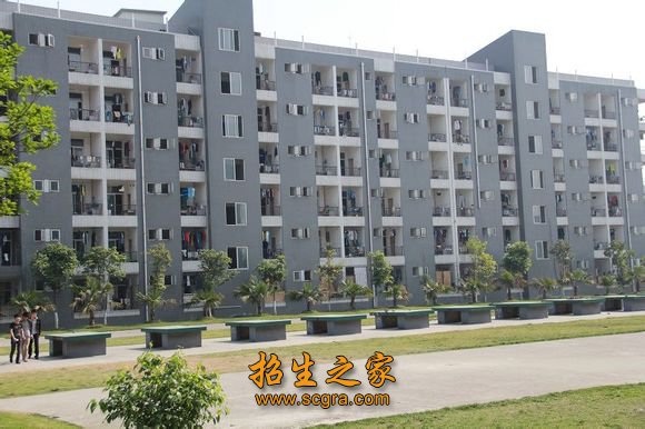 具有结构工程硕士点