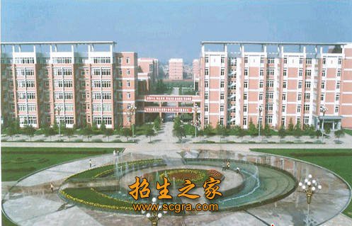 公开信息按发布时间滚动
