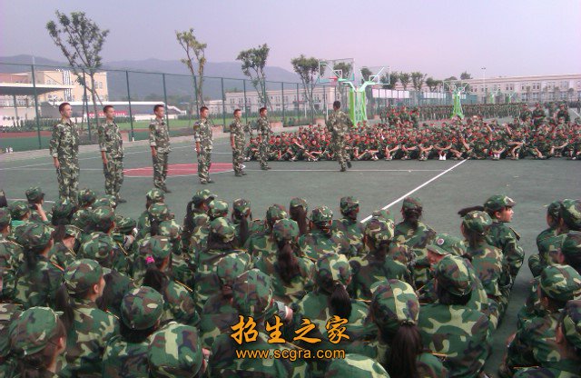 早教师劳动强度较低