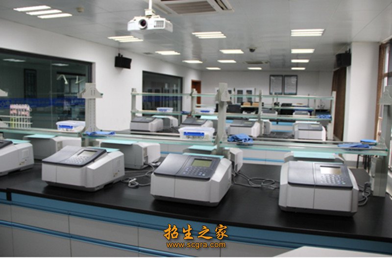 就业容易