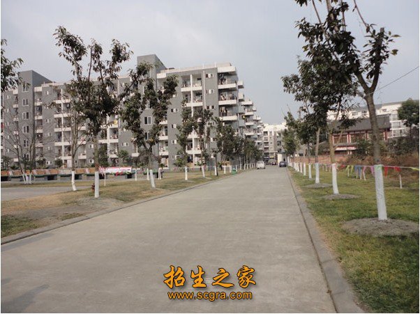 微机原理与应用