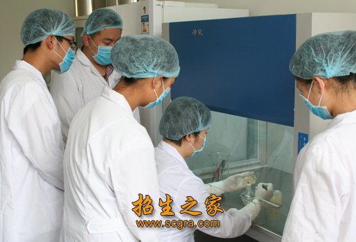 同题参见主要课程都是与临床医学