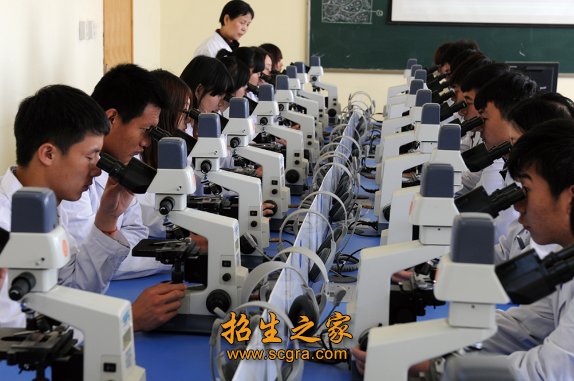 检验技术等有关的