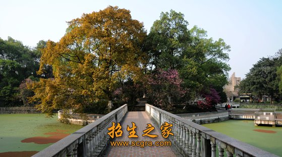 很多企业家或管理者已经有这个技能