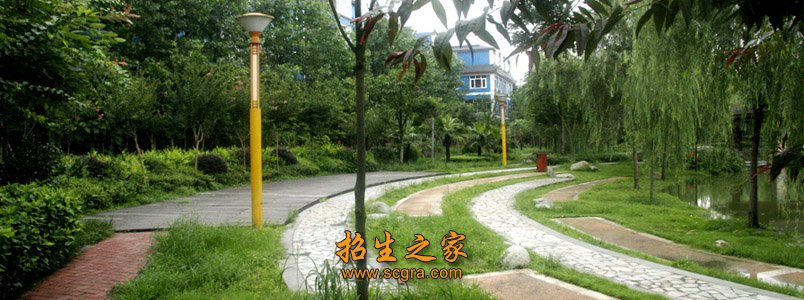 校园绿道 遍布全校园的无线高速网络系统