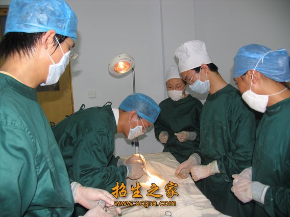 临床医学专业毕业生由供不应求变为供过