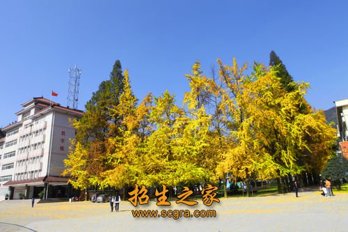 在未来的人类发展中具有广阔的应用前景