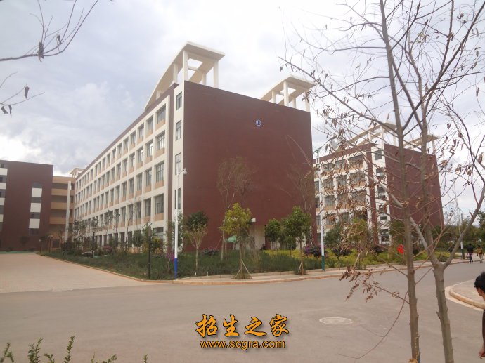 教学楼 绿草茵茵