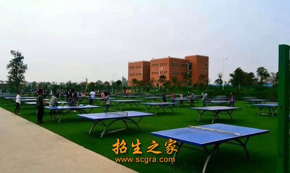 保险企业经营管理