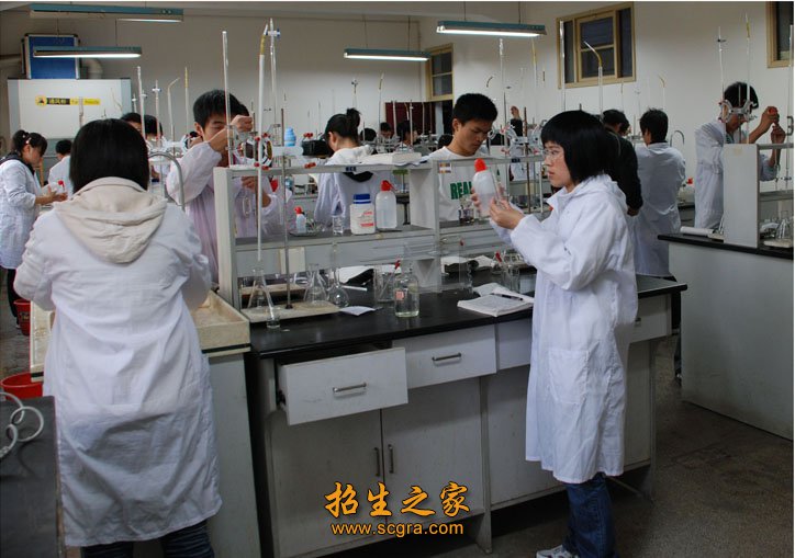 一般是当老师