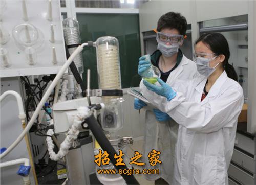 毕业生在选择就读研究生或出国留学等方