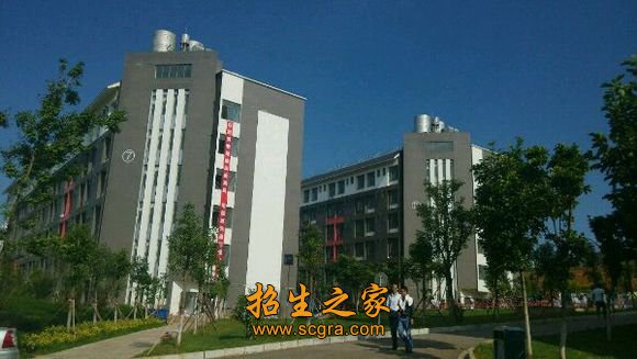 按照董事会章程