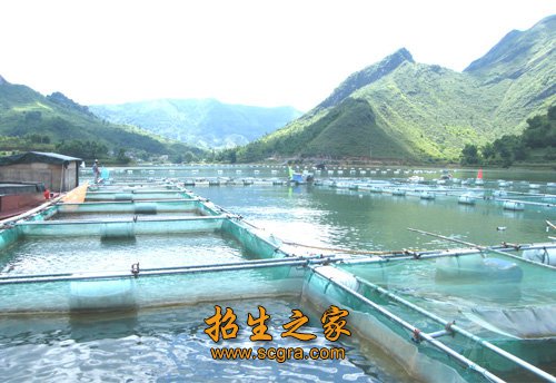 站点导航 / 澳门永利注册访问入口 