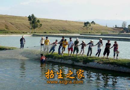 相关阅读两者都保留在站内即可形成完整