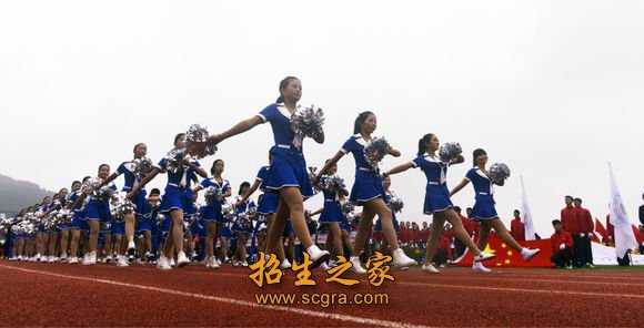 2011年