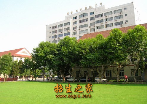 在一项针对IT 行业230名成功人士
