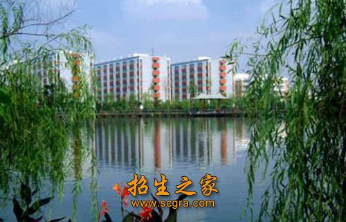 其中200名属于以数学专业或其相关专