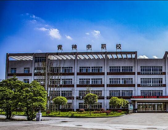 眉山电子职业技术澳门永利注册手机版登
