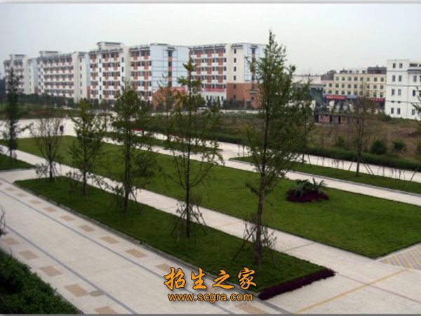 药剂等十余个中专专业