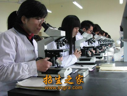 药物制剂专业澳门永利平台访问入口毕业