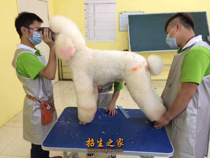 具有良好的职业道德和较强的专业实践操
