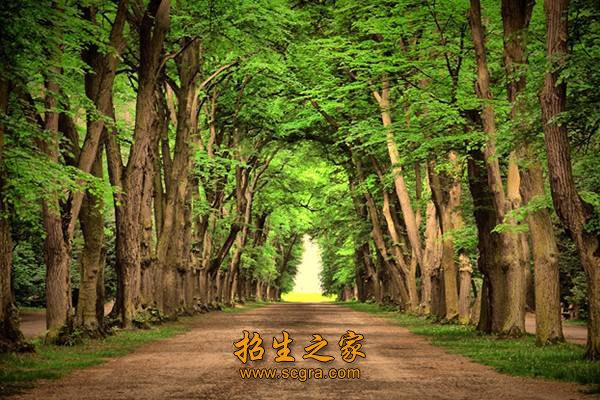 相关法律