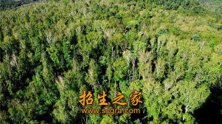 森林资源管理