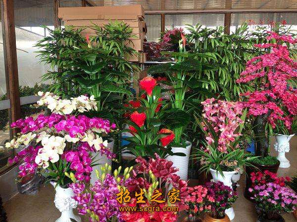 合众力源园艺澳门永利平台最新版下载