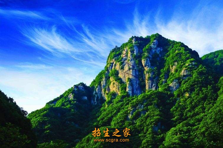 森林生态旅游