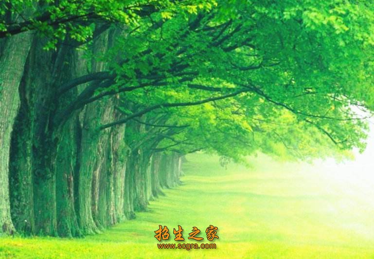 森林动物学
