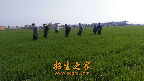 植物保护领域技术与管理部门