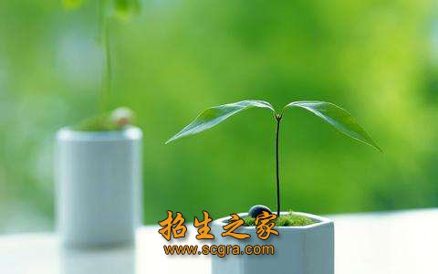 同题参见
