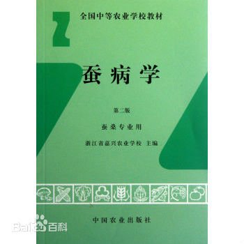 正文适合核对表述