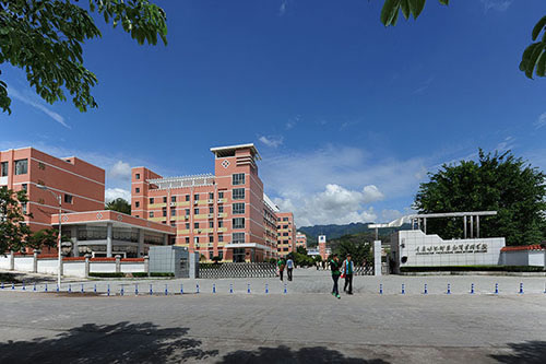 重庆电子工程职业澳门永利平台正式成为