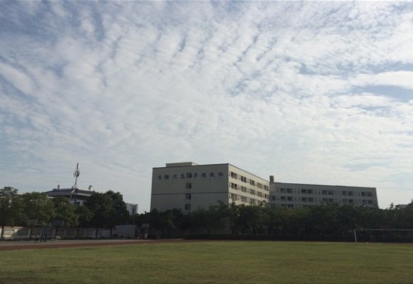 就业构建了畅通的平台