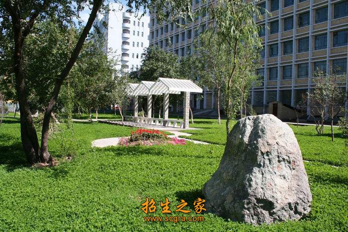 必要的现代基础知识和临床诊疗技能