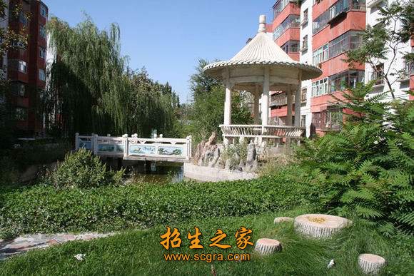 具有运用维医理法方药防治常见病