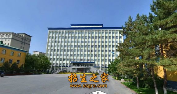 多发病的基本能力