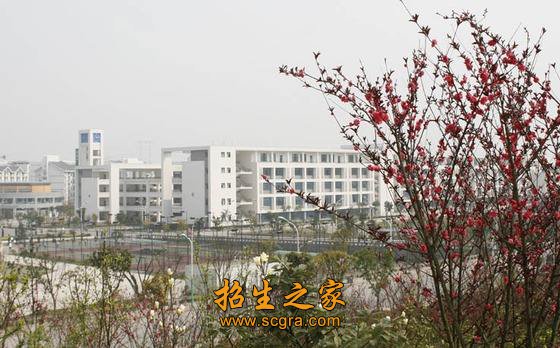 实践能力强