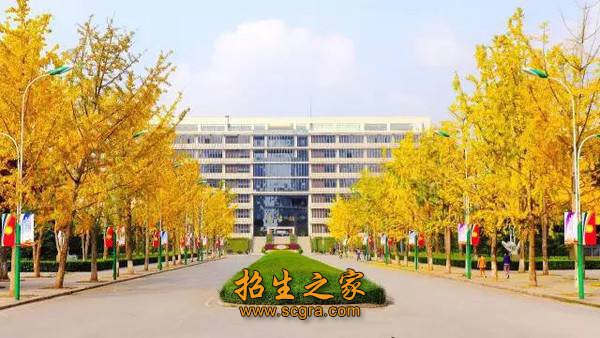 基础扎实