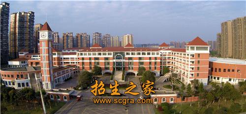 练就生存技能