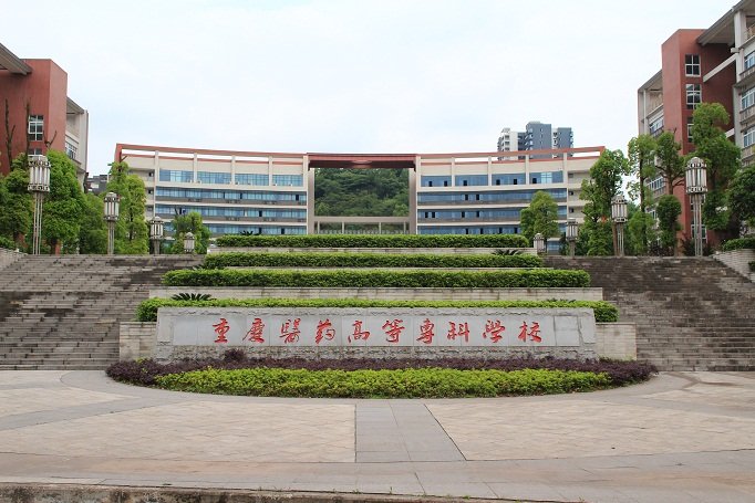 重庆城市管理职业澳门永利平台正式成为